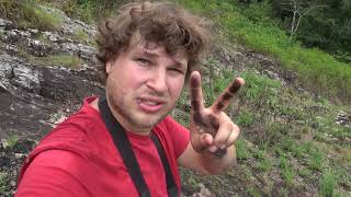 Libythea sp. butterfly migration in Uganda (just a casual video)