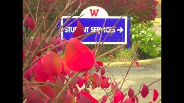 Core Values; internalized.