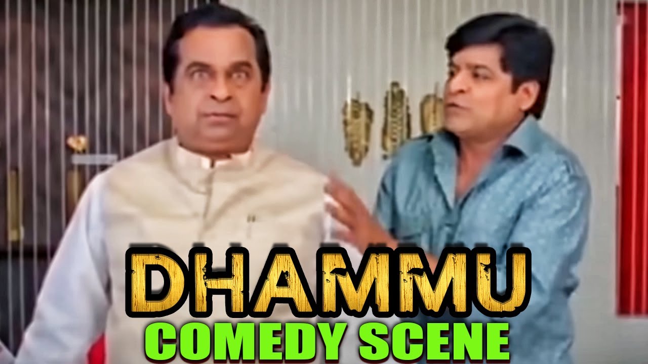 Ali Aur Brahmanandam Ka Majedar Comedy Scene | Dhammu Movie Best Scene