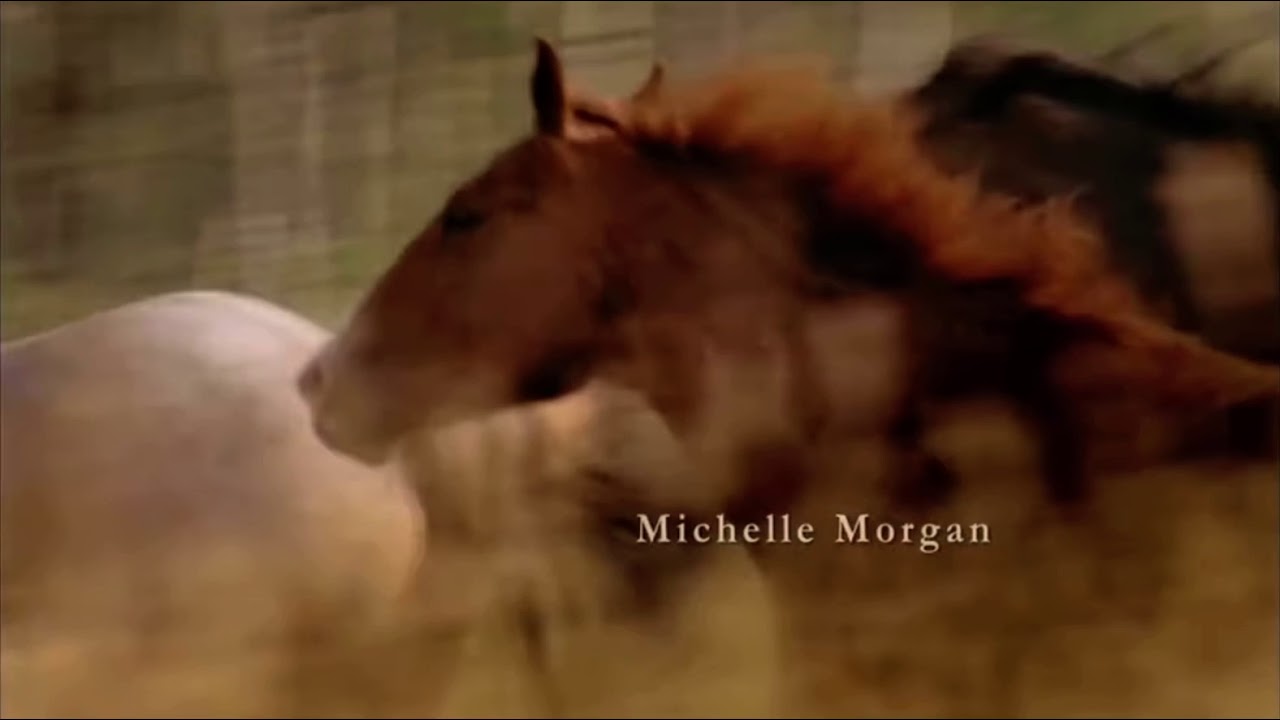 Heartland opening Season 14