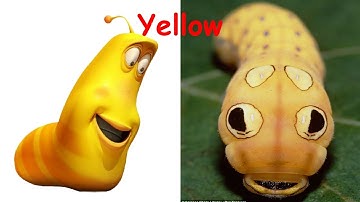 Larva In Real Life | Larva 2017