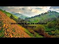 Distrion Alex Skrindo Entropy 