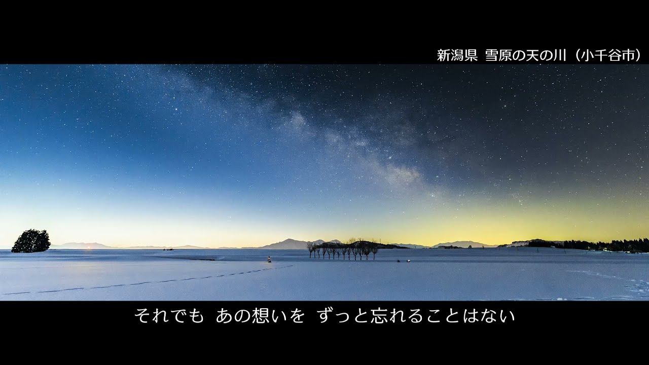 大切なもの 音羽ゆりかご会 Shazam