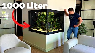 THIS 1000 LITER PLANTED AQUARIUM WILL BLOW YOUR MIND! BIG CUSTOMER PROJECT