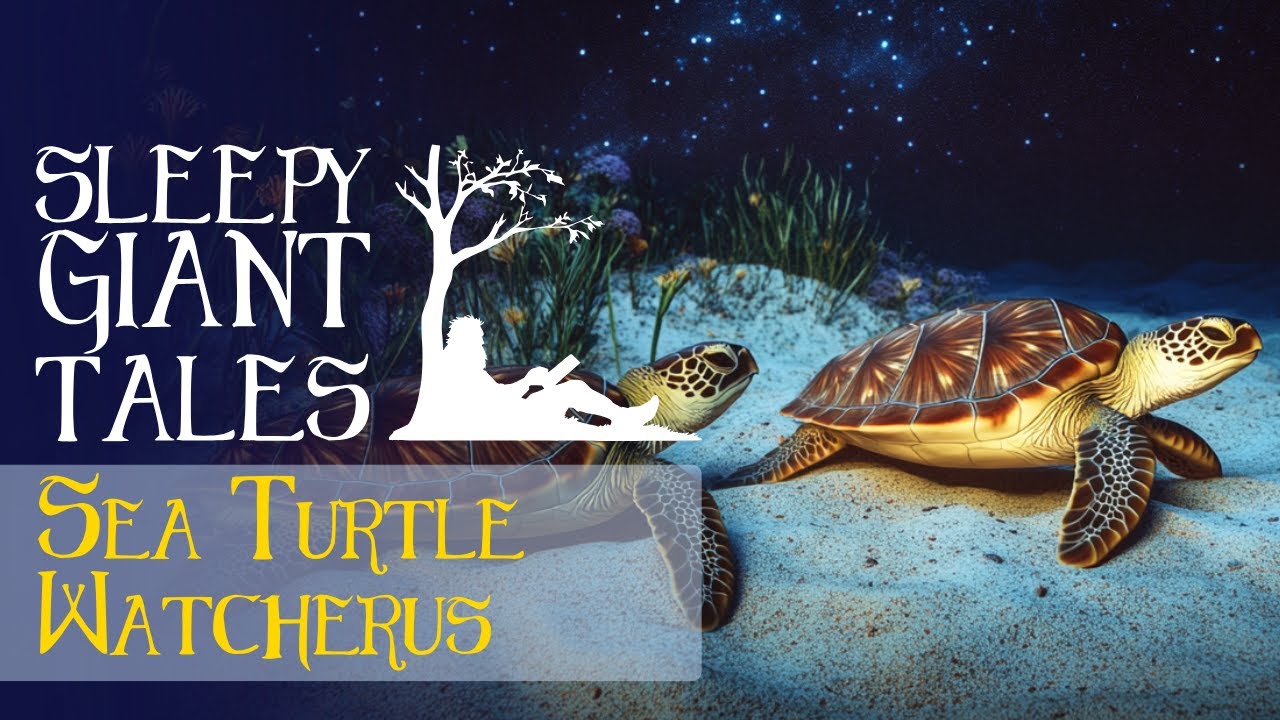 Sleepy Giant Tales: Sea Turtle Watcherus | Sleep Stories for Obliterating Stress