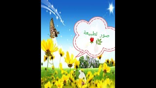 أجمل صور لفصل الربيع 🌿🌿🌹