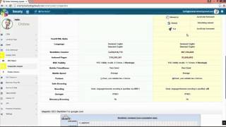 How to Use SEO Click on Smarty Software screenshot 4