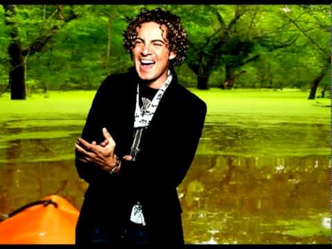 David bisbal-Heredero