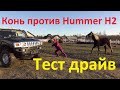 Конь против Hummer H2! "Тест драйв".