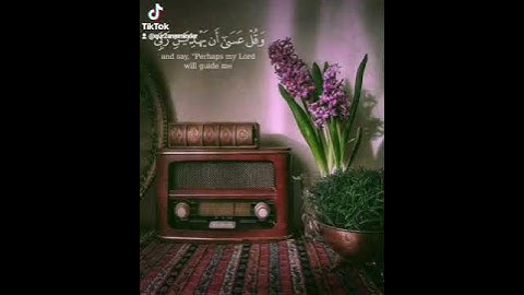 و اذكر ربك إذا نسيت #سورة_الكهف #الكهف