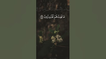 ( قال ربّ إما تريني مايوعدون ... ) | القارئ : أحمد الحذيفي #quran #اكسبلور #قرآن