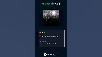 Grayscale image in css #codechallenge #coding #frontend #webdesign #mrcodding #shorts