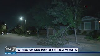Winds smack Rancho Cucamonga