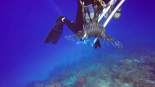 Overview of incredible scuba diving in Belize