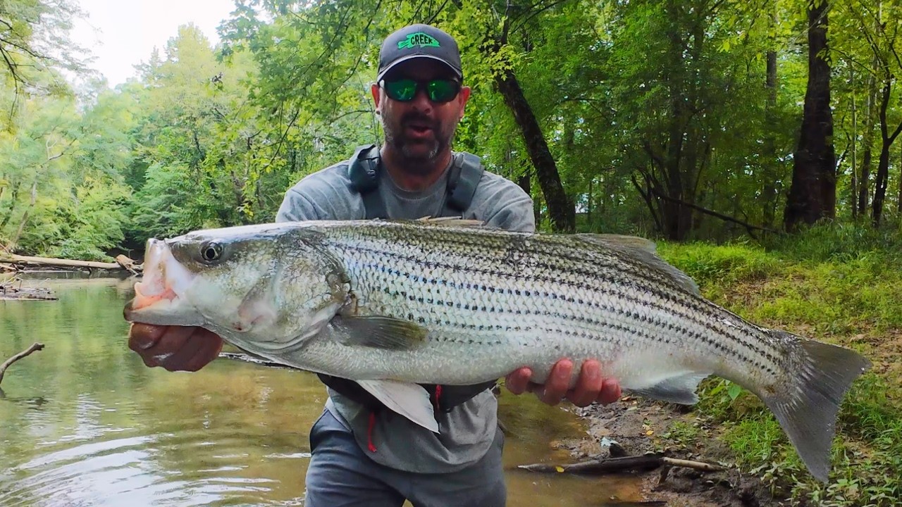 Creek Fishing Adventures