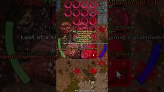 Hunt Top Exp Para Eks no #tibia #tibiagame #tibiagameplay #games #games