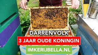 Darrenvolk Met Volle Honingkamers Eng Dub S2026E05