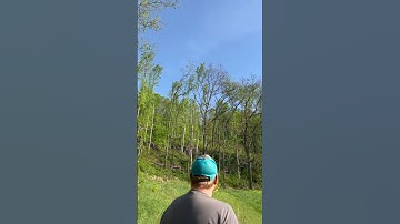 E flite Timber Turbo Evolution RC Plane Crash, Hits tree Branches!