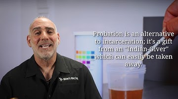 330) What happens if I Fail a Urinalysis U/A while on Probation? VOP? #HaberPA Criminal Lawyer