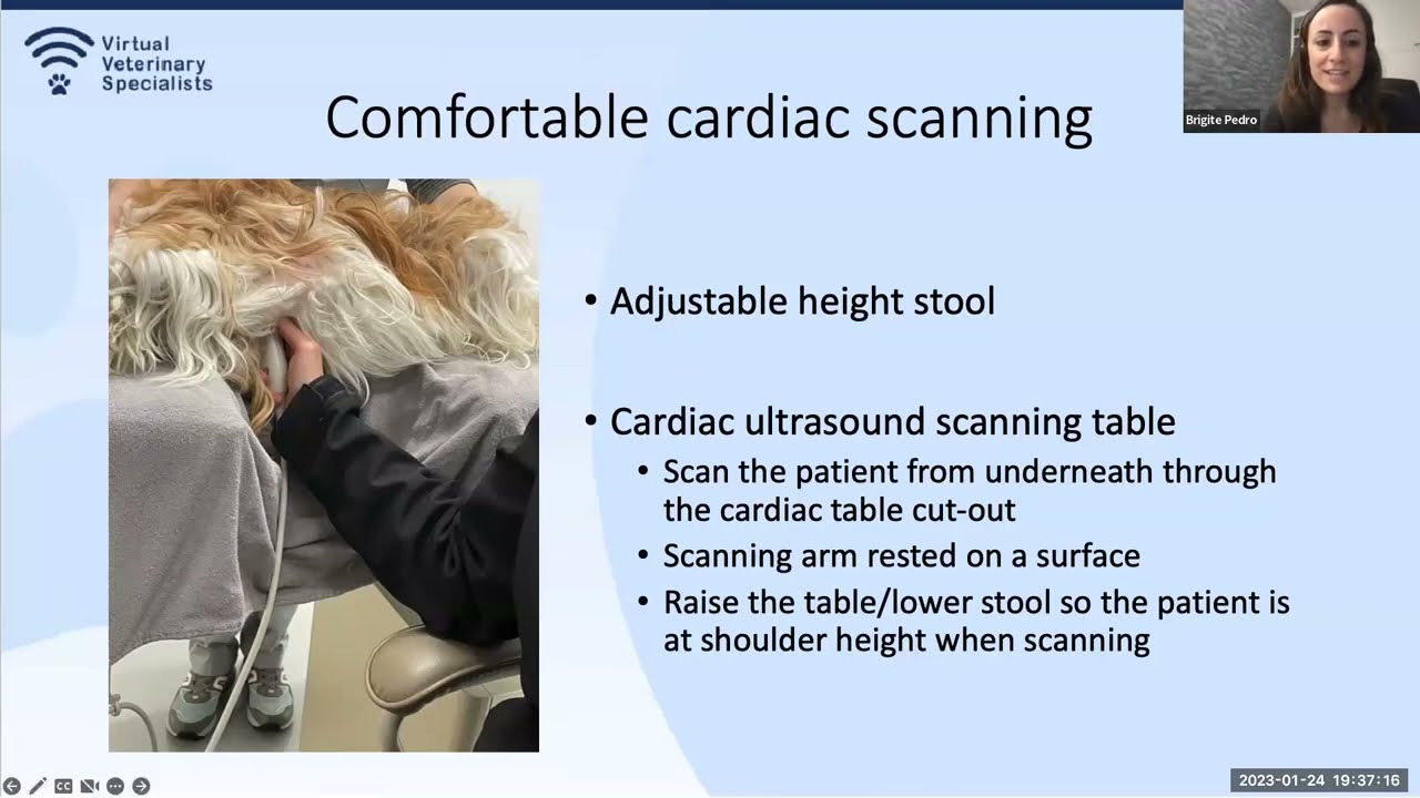 VVS Cardiology Webinar- 'Basic Echocardiography' with Dr Brigite Pedro
