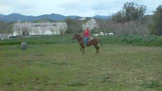 RiceLaneStable 054.avi