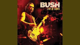 Video thumbnail of "Bush - Glycerine (Live)"