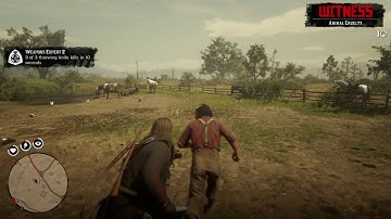 Easy! Red Dead Redemption 2 Weapons Expert 2 Challenge 2