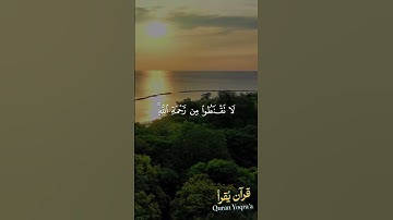 لا تقنطوا من رحمة الله #سورة_الزمر #القرآن_الكريم #مشاري_العفاسي #اكسبلور #راحة_نفسية #لايك #تلاوات