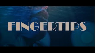 Fingertips - IVOXYGEN (Lyric Video)