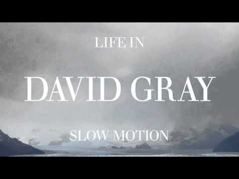 David Gray - Ain't No Love (Official Audio)