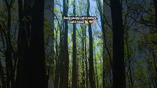 Some people call it nature , I call it home🏡💝 .. .... ... .. .#junglefever, #plantationwalk