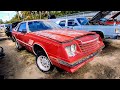 This Mopar was actually solid by Florida Rust standards. 1981 Dodge Mirada Junkyard Find