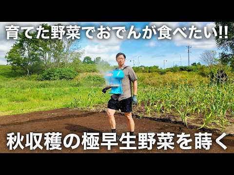 目指すはおでんの具材!! 極早生秋野菜の種蒔き
