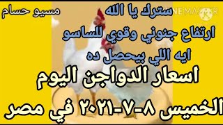 اسعار الدواجن اليوم الخميس ٨-٧-٢٠٢١ في مصر