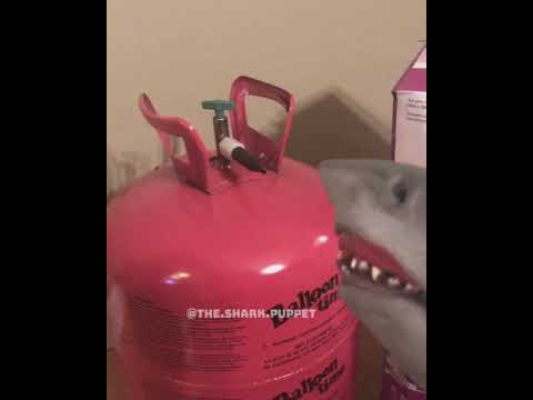 video editing software free shark puppet drinks helium