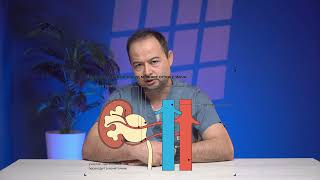 Gidronefroz | Sabablari, belgilari va davolash usullari