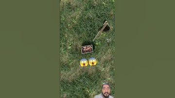 🍎Apple & Arrow: The Loop.#shorts #superzoom#loop#art#infinite#relax#imagine#closeup#transition#macro