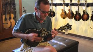 Carter Vintage Guitars - Adam Steffey - Daley F-5 "Hoss" Replica chords