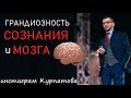 Грандиозность мозга и сознания, А.В. Курпатов