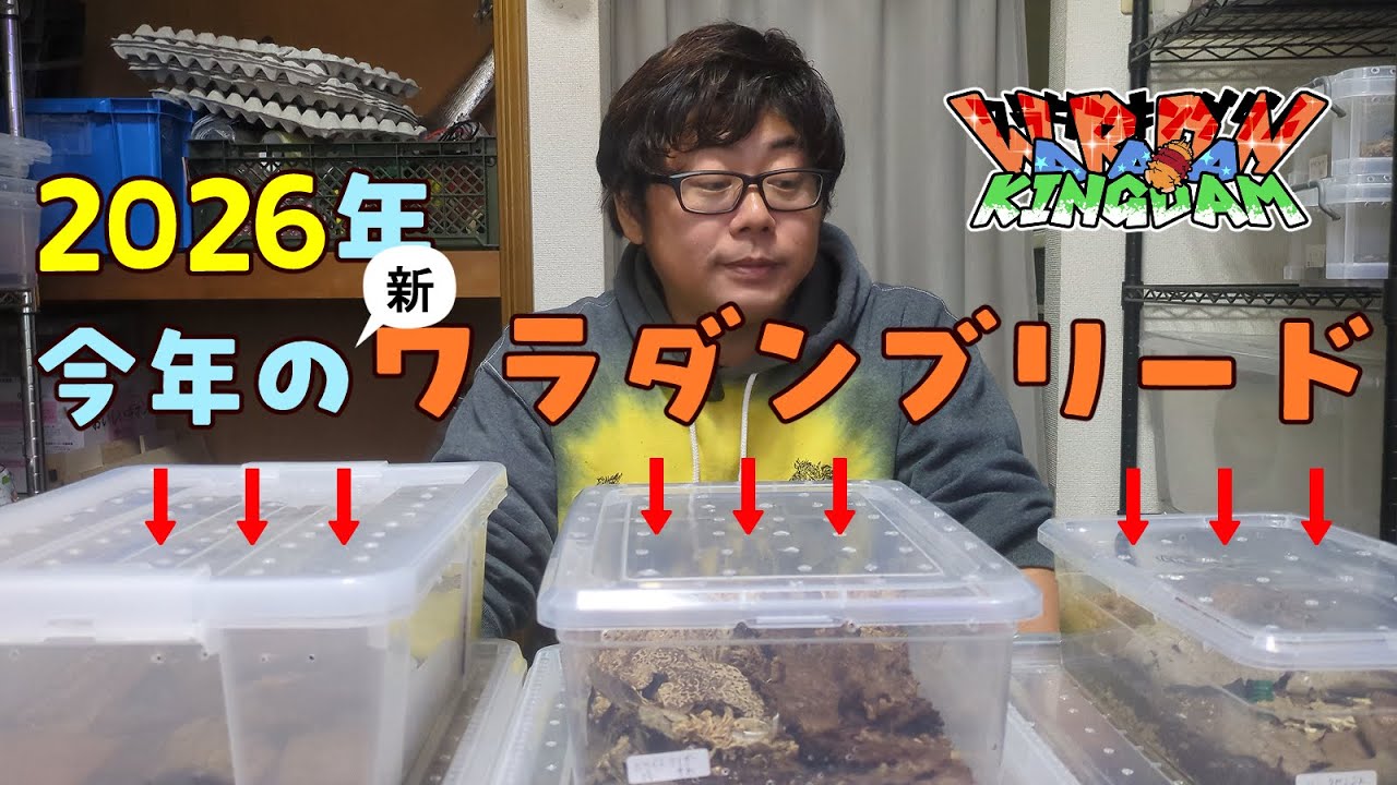 ブリード頑張ってる6種を一挙紹介！販売はいつになるのやら…