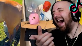Tectone Reacts to Tiktok Until it Gets Racist