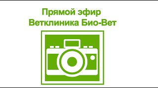 Прямой Эфир На Тему Чем Дешевые Корма Для Собак Отличаются От Дорогих. Ветклиника Био-Вет Прямой Эфир На Тему Чем Дешевые Корма Для Собак Отличаются От Дорогих. Ветклиника Био-Вет