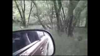 Funny Bigfoot Scare Prank