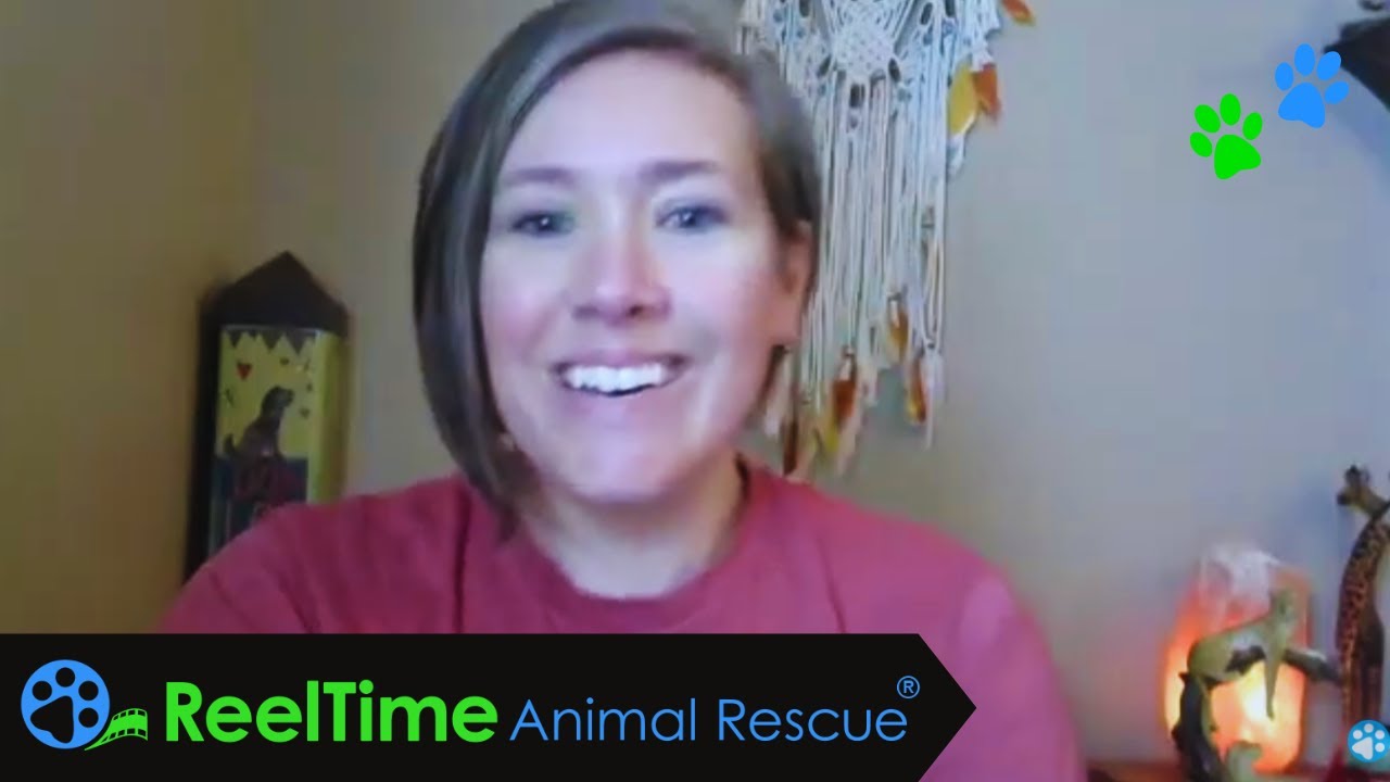 Anxiety Part 2: Holly Starr - Animal Communicator