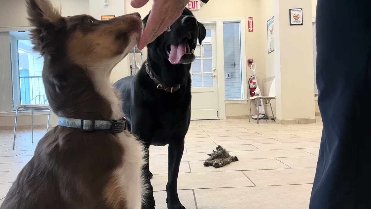 Millie duration target feed at source