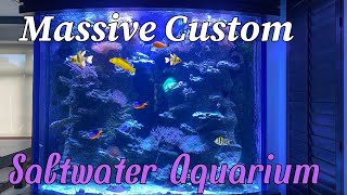 Help pick fish for this Saltwater Tank by Aquarium Service Tech 1,388 views 1 month ago 12 minutes, 23 seconds