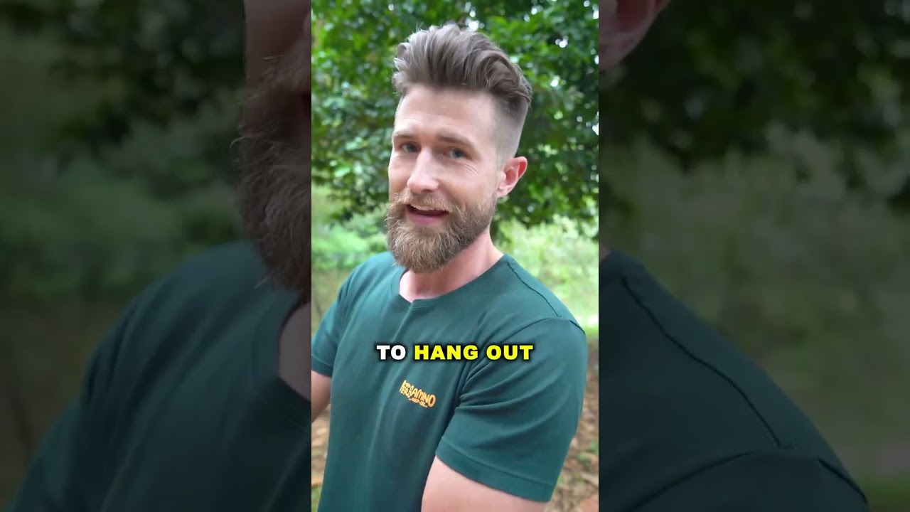 Catch Women Out of Your League... Like This