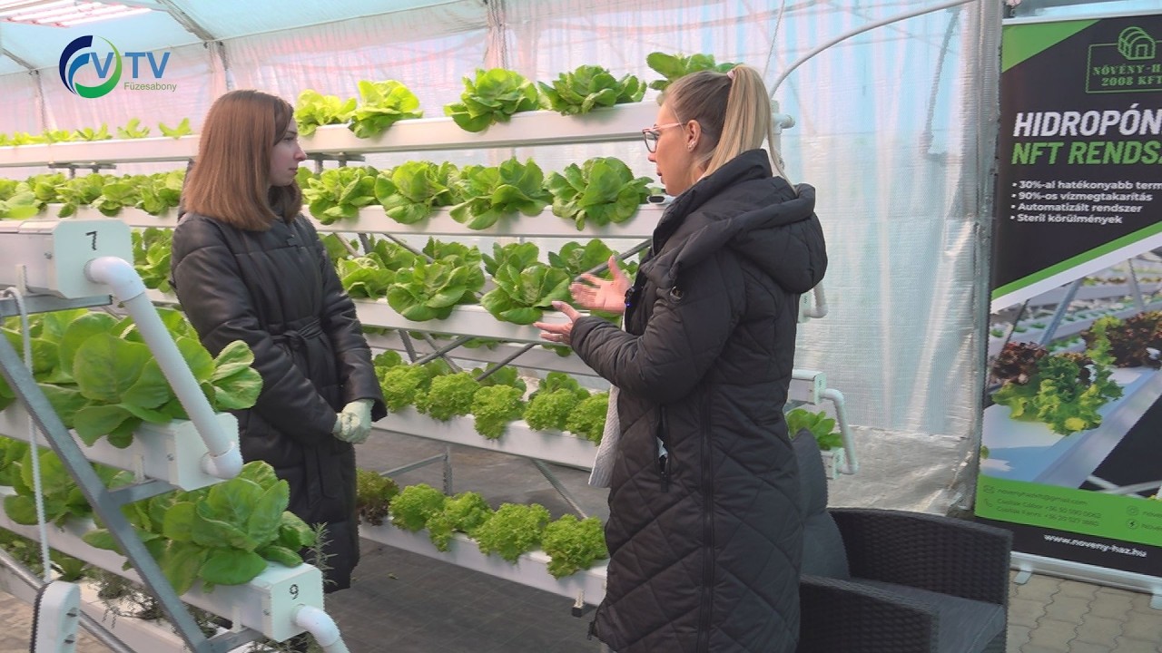 Hidropóniás mintagazdaság Makláron