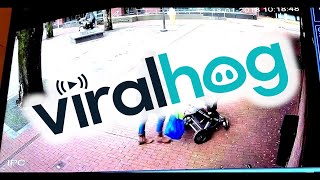 Woman with Pram Almost Hit by Falling Tree || ViralHog