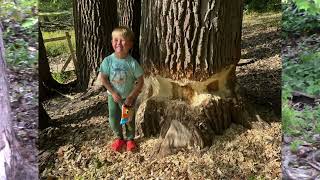 Nuisance Beavers Bewilder Trappers at the Moment